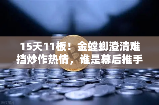 15天11板！金螳螂澄清难挡炒作热情，谁是幕后推手？游资手法深度解析